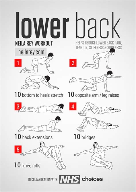 Back Strengthening Exercises: Back Strengthening Exercises 7 Weeks