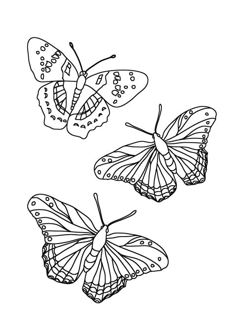 Butterfly Coloring Pages