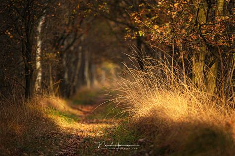 Using a Shallow Depth of Field for Landscapes | Fstoppers