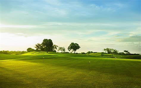 HD wallpaper: Golf course, green grass, trees, green grass field ...