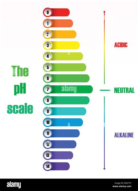 Ph Scale Examples