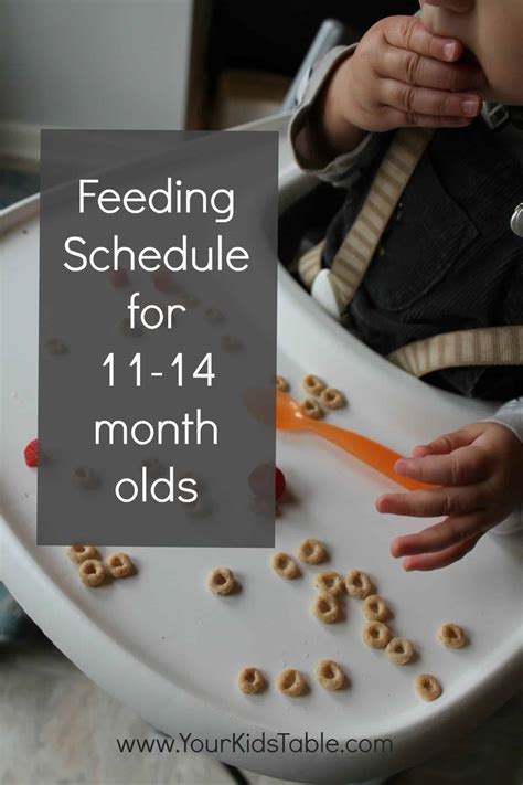 Feeding Schedule for 11, 12, and 13 month olds - Your Kid's Table