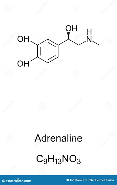 Adrenaline Molecule, Epinephrine Skeletal Formula Stock Vector ...