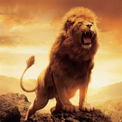 Roaring Lion Wallpapers - Top Free Roaring Lion Backgrounds ...