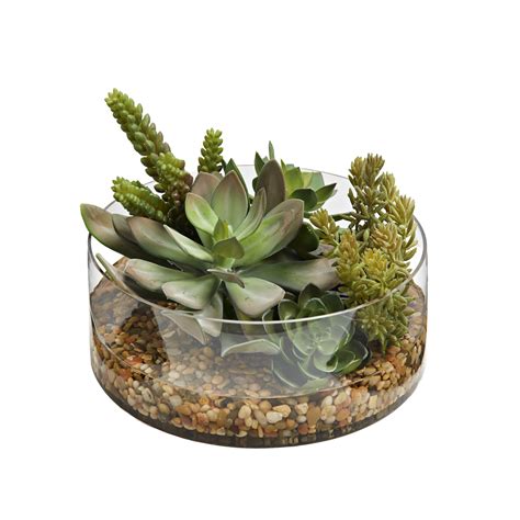 Assorted Succulents in Round Lowry Vase – 231229|D&W Silks