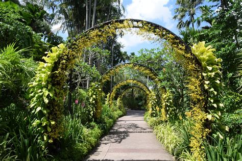 Tour | Singapore Botanic Gardens