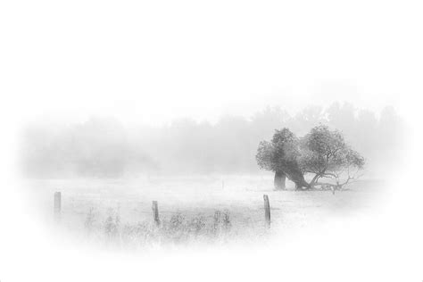 Wallpaper : fog, black and white, monochrome photography, mist ...