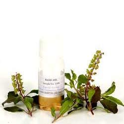 Holy Basil Oil, Ocimum Sanctum Oil, Holy Basil Oil Manufacturer