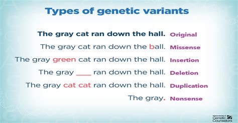 Name and Describe Two Types of Gene Mutations - Porter-has-Frank