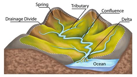 Geography: What Is A River: Level 2 activity for kids | PrimaryLeap.co.uk