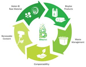 Biodegradable Plastic Bags: A Sustainable Future