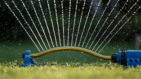 A Garden Soaker Hose Layout - An Inexpensive Irrigation System For ...