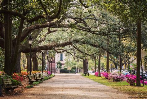 2024 Guide to Savannah: Things to Do, Shopping, Hotels, Events