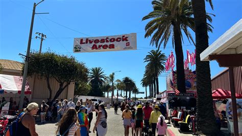 Livestock Area at Ventura County Fair