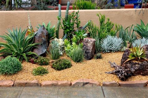 34 Sharp Cactus Garden Ideas | Succulent landscaping, Rock garden ...