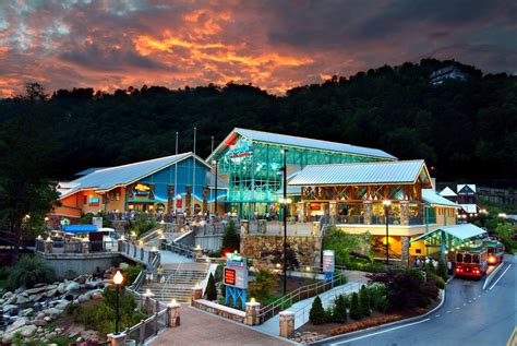 Attractions In Gatlinburg | Aquariums, Museums & Mini-Golf