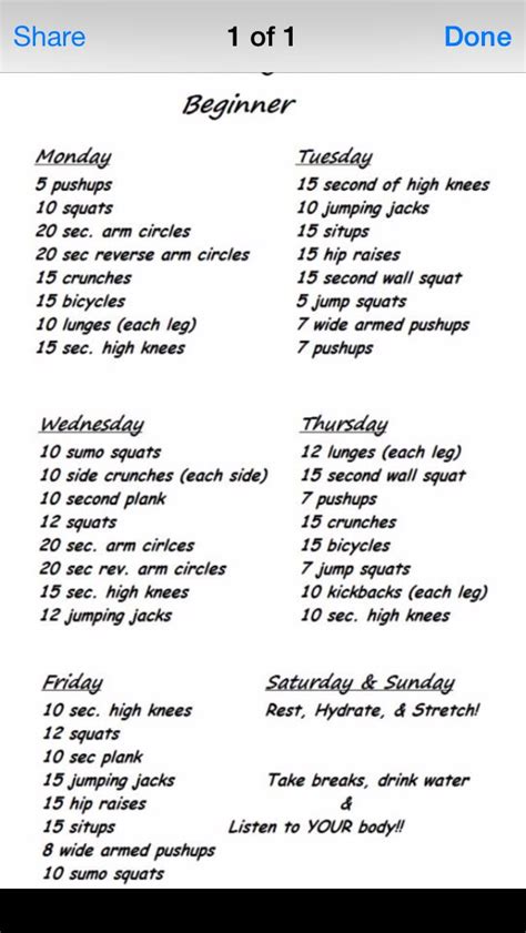 Daily Gym Workout Plan For Beginners