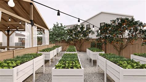 Raised Backyard Vegetable Garden