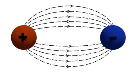 Electric Lines of Force | Electrical4U