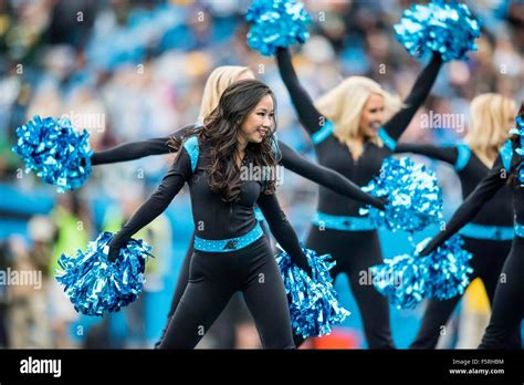 Carolina Panthers Cheerleaders Images | Joss Wallpapers