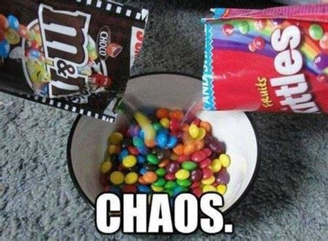 Chaos Whats Meme Funny Pinterest Meme Memes And Funny Memes