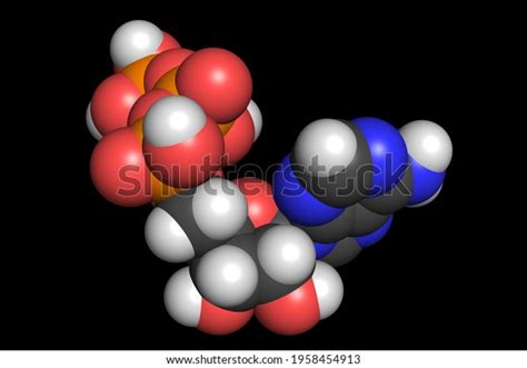 Adenosine Triphosphate Atp Molecule 3d Render Stock Illustration ...