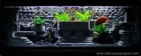 9 DIY Aquarium Backgrounds You Can Start Today - Learn How