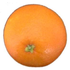 File:Orange-fruit-2.jpg - Wikimedia Commons