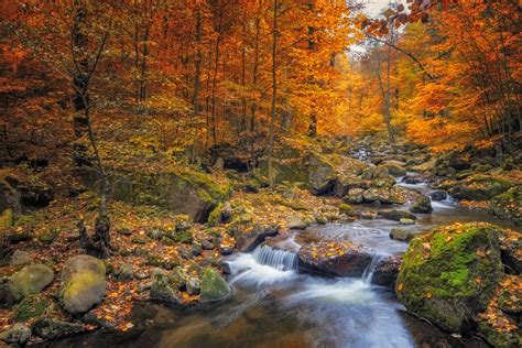 35 Beautiful Fall Photos and Time-Lapse Video