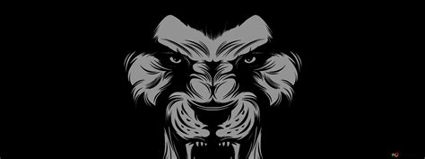 Black and white portrait of angry lion 2K wallpaper download