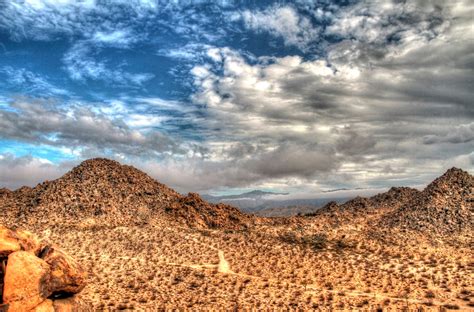 UNIQUELY JOSHUA TREE: Storm Clouds on the Mojave Desert