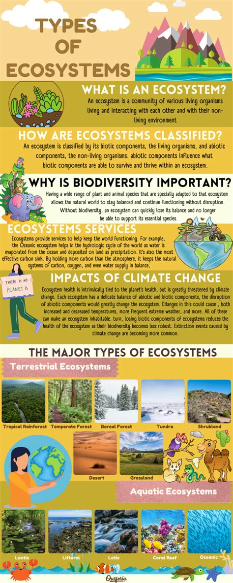 12 Different Types of Ecosystems and Why They Are Important