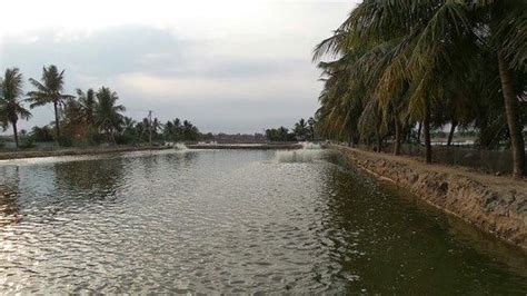 Chirala, India 2024: Best Places to Visit - Tripadvisor