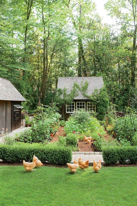 Dream Garden! It Even Has a Chicken Coop | Dream garden, Cottage garden ...