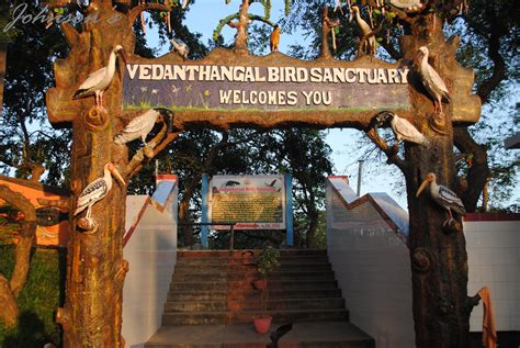 Johnson's: Vedanthangal Bird Sanctuary