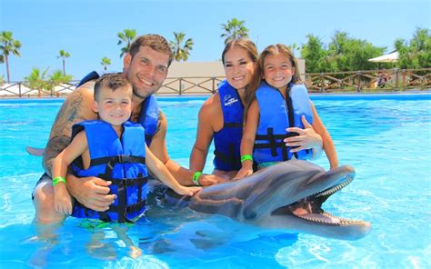 Swim with Dolphins in Cabo: Family-Perfect | Cabo Adventures