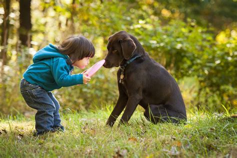 What Dogs Are The Best Family Dogs