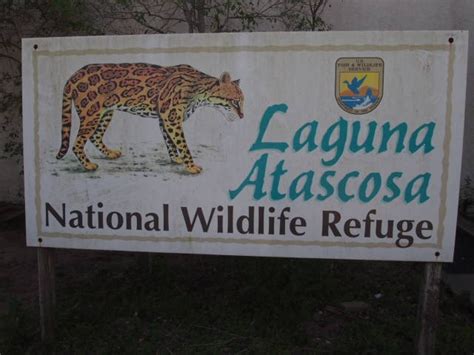 Laguna Atascosa National Wildlife Refuge, TX | Welcome to ComfyConestoga!