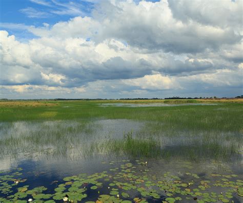 Celebrating National Wildlife Refuge Week • Florida Wildlife Federation