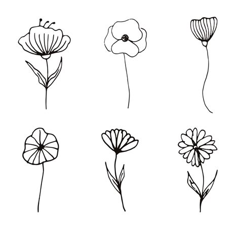 Flower Doodle Line Art, Doodle Flowers, Line Art Flowers, Doodle Art ...