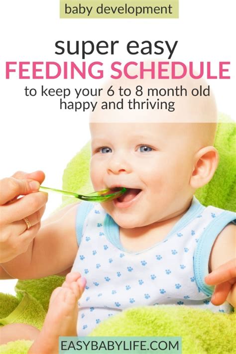 Super Easy Feeding Schedule for 6 to 8-Month Old Babies to Keep Them ...