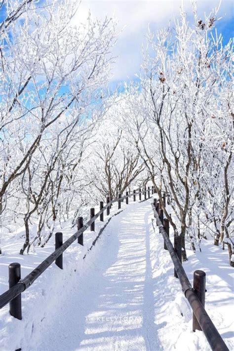 20 Of The Best Winter Festivals in South Korea - Kelly Today