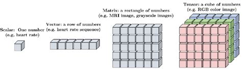 The terms scalar, vector, matrix and tensor denote different ...