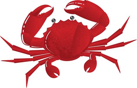 Blue Crab Clipart - ClipArt Best