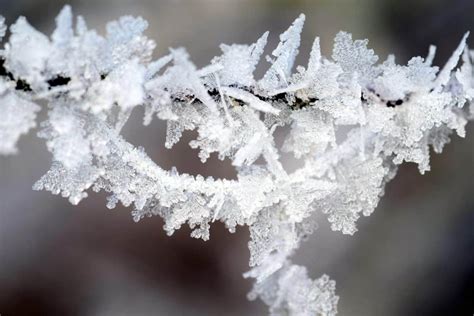 Winter Macro Photography Wallpapers - Wallpaper Cave