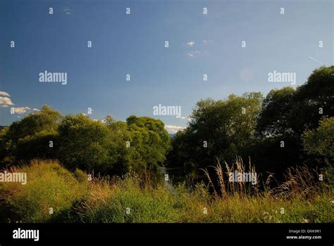 silence on river Stock Photo - Alamy