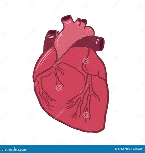 Drawings Of Hearts With Color