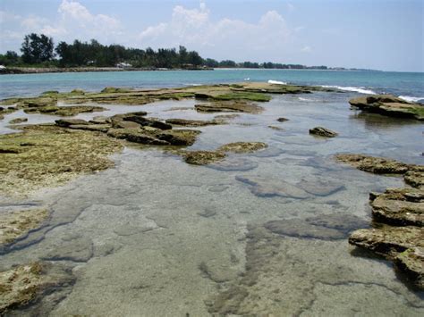 Snorkeling Point-of-Rocks, Siesta Key, Florida