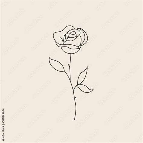 Rose flower thin line sketch icon or logo or tattoo design template ...