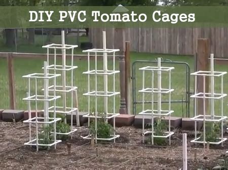 How To Build PVC Tomato Cages